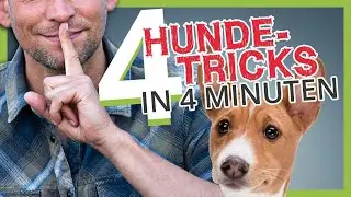 4 DOG TRICKS in 4 MINUTES!