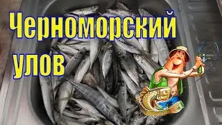 BLOG/Крым Судак/Морской улов/Едим в гости/Морские рачки