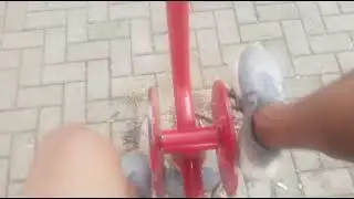 26 de agosto de 2024