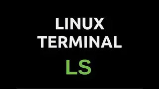 Содержимое каталога команда LS, Linux terminal