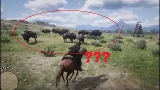 Red Dead Redemption 2 Bug - Bunshin Buffalo Wacky West