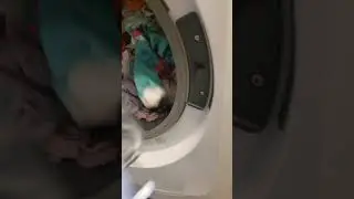 Washer EFLW427UIW, purchased 12/27/2019, 3rd load 3rd stuck sock