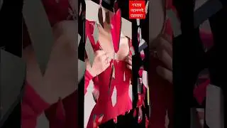 নাচের আনন্দই আলাদা#shorts #shortvideo #entertainment #trending #challenge #viralshort #viral #video