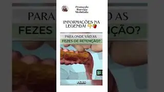 Você 💩💩✔️