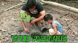 Planting Trees