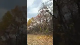 Осенние покатушки на квадрике Short1