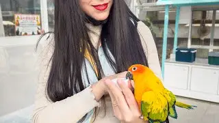 Parque das aves em kakegawa
