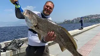 Levrek ve granyöz avı İzmir #jewfish #levrek #balıkavı #seabass
