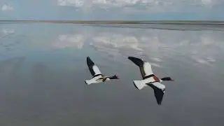 Крымская природа. Красивые виды