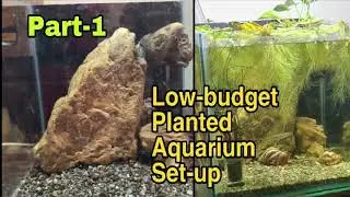 Home made low budget planted aquarium setup