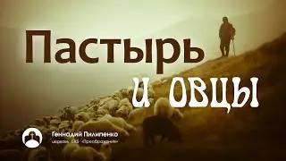Геннадий Пилипенко: 