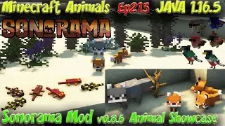 Sonorama Mod v0.8.6 Animal Showcase Desert Animals JAVA 1.16.5 Minecraft Animals Ep213