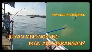 Mancing dasaran!!! Tarikan monster ekor BERACUN
