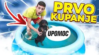 UBACIO SAM PSA U BAZEN ! *ne zna da pliva*