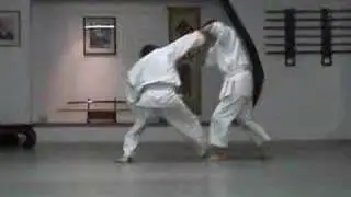 Andrew Lee - 2nd Kyu Test (Part 2)