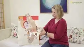 Birth and the stages of birth