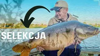 JAK SELEKTYWNIE ŁOWIĆ KARPIE cz.2