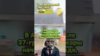 🌪️🌧️ Краснодарский край сдуло!
