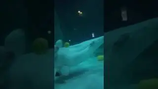 Сексуально озабочены.