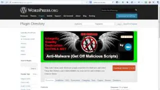 WordPress Security Plugins *WARNING* Be Careful With Wordpress Free Themes!
