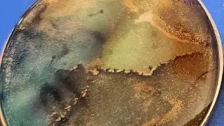 How to turn your alcohol ink art into jewelry #uvresin #diycrafts #handmade