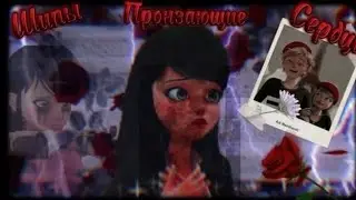 Переписка «Шипы пронзающие сердце» 🥀 13 Часть. Конец! | Мультсериал Леди Баг 🐞