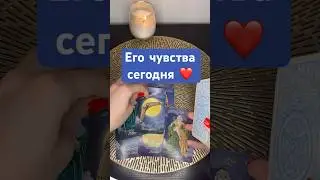 Его чувства сегодня ❤️