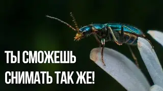 Макро фото без макро объектива! - Ренат Мансуров