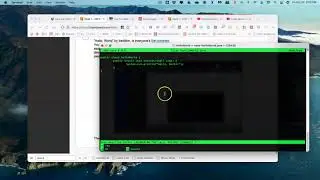 Create Hello World in macOS
