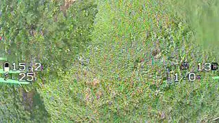 GPS flickering on betaflight 4.1.1