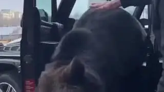Biz.boshladg.siz.kurg(8)