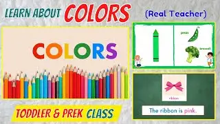 Colors for Toddlers and Preschoolers | Educational Learning Video Toddlers | Learn About COLOR
