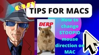 SOLVED! How to change mouse scroll direction on mac 🖥️ so frustrating!!!