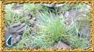 Metal Detecting UK 2015