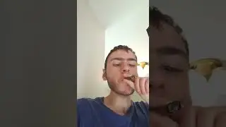 these woods hit hard lol