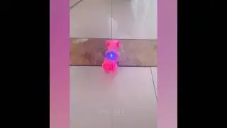 Коты Беспредельщики!!