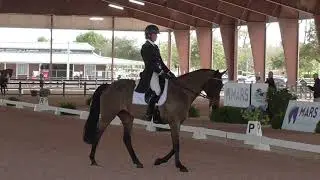 Lauren Kieffer & Veronica CCI 5 Star Dressage