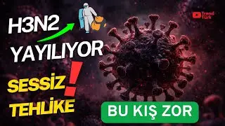 H3N2 Virus in Türkiye! What Should We Do?