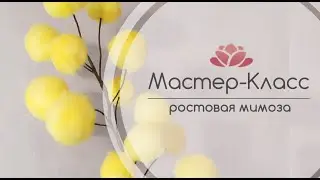 Мастер-Класс Ростовая Мимоза