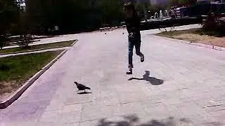 MOV01986