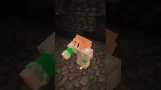 IP: tt.pfaumc.io Я не могу найти Алмаз! #minecraft #vanilla #anarchyserver #майнкрафт_сервер #mem