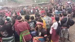 Tarian tradisional  Sumba barat daya