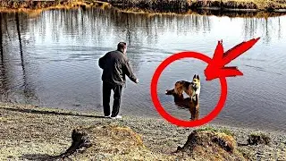 The dog pulls the father to the lake. What he saw in the water almost drove him crazy!