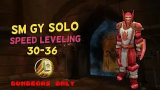 WoW Classic Paladin Solo SM GY - (30-36) Dungeon Leveling Guide