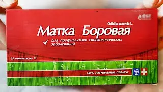 BOROVAYA MATKA - WHO SHOULD TAKE IT AND WHEN! Beneficial properties for women