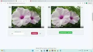 Convert images - imageonline.co