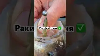 Окунь на рака 🦞 #спиннинг #рыбалка #микроджиг #окунь #рибалка #fishing #microjig #spinning #perch
