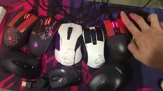 How Many Mice I have? (a lot xD)