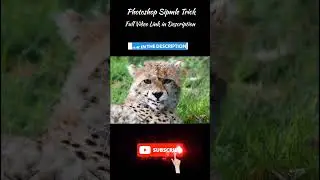 Remove fence in Photoshop #shorts #youtubeshorts