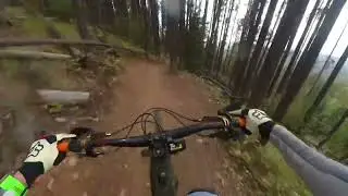 Merlin: The BEST DH Trail in West Bragg?